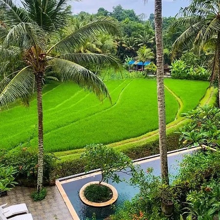 Umasari Rice Terrace Villa By Agata-3